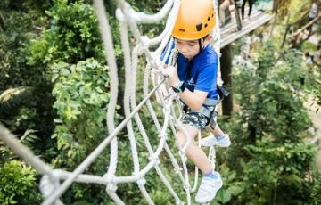 景區網紅類叢林穿越、魔網蹦床設備項目競爭力如何？