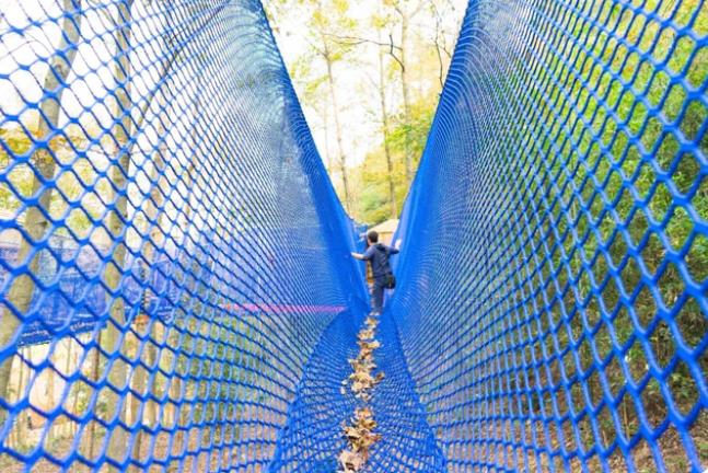 16f885506e1a859253cf856595739f15.jpg 16f885506e1a859253cf856595739f15.jpg