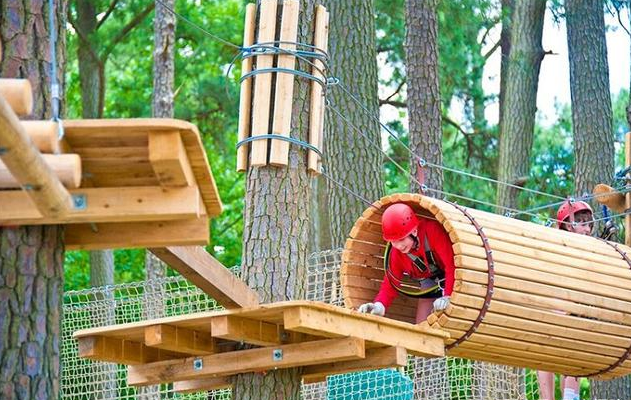 c79ab67dbc2658d259c7b6ea7043acee.png c79ab67dbc2658d259c7b6ea7043acee.png