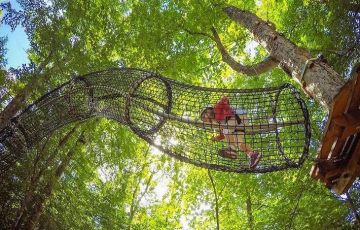 叢林穿越：超強刺激關卡，激發智慧和潛能