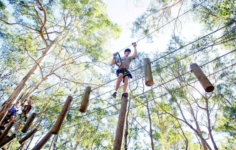 ae165bca65d12ec55a74b1854e1c41d6.png ae165bca65d12ec55a74b1854e1c41d6.png