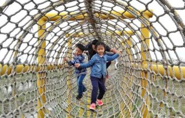 什么是叢林穿越？它的場地要求和安全標準是什么?