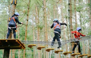 叢林穿越：來自大自然的挑戰