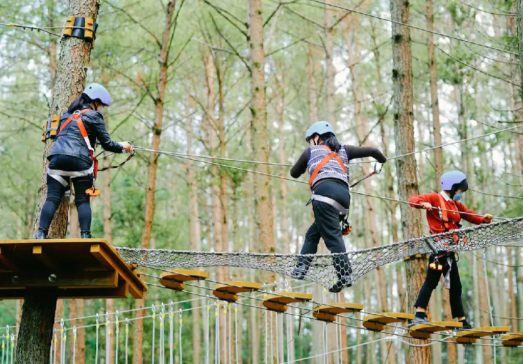 叢林穿越:來自大自然的挑戰(zhàn) 叢林穿越:來自大自然的挑戰(zhàn)