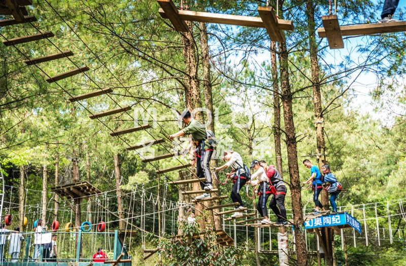 bb0a149b845b99f4ee70312140220f87.jpg bb0a149b845b99f4ee70312140220f87.jpg