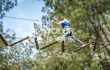 叢林穿越游樂項目讓您在大自然中擁抱綠色戰勝自我